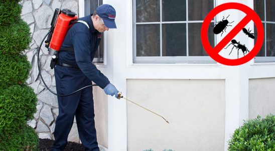 Akseki Kemirgen İlaçlama böcek ilaçlama ve haşere kontrolü — ilaclama-tr.com